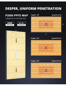 Viparspectra PRO 2000/250W - 2024 Samsung SMD LM301B