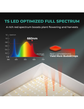Celotni paket Mars Hydro Grow set TS1000