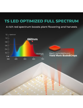 Celotni paket Mars Hydro Grow set TSL2000