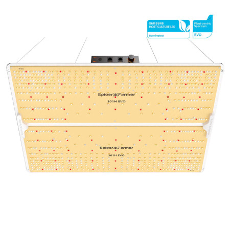 LED svetilka za gojenje Spider Farmer SF4000