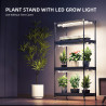 Kompletni growbox s 4 policami Spider Farmer - 108W