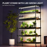 Komnpletni growbox za gojenje s 6 policami Spider Farmer - 220W