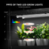 Komnpletni growbox za gojenje s 6 policami Spider Farmer - 220W
