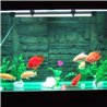 33 LED vodotesné osvetlenie pre akvária 59 cm