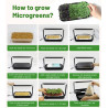 Set za gojenje mikrozelenja Bentech GreenBoost