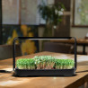 Set za gojenje mikrozelenja Bentech GreenBoost