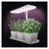 EMOS LED GROW svetilka za zelišča 7 W, s časovnikom in možnostjo zatemnitve, bela
