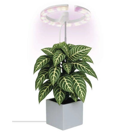 EMOS LED GROW svetilka za gojenje rastlin 8 W, s časovnikom in možnostjo zatemnitve, bela