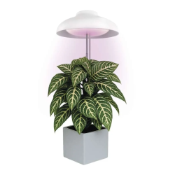 EMOS LED GROW svetilka za gojenje rastlin 5 W, s časovnikom, bela