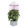 EMOS LED GROW svetilka za gojenje rastlin 5 W, s časovnikom, bela