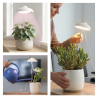 EMOS LED GROW svetilka za gojenje rastlin 5 W, s časovnikom, bela