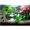 27 LED vodotesné osvetlenie pre akvária 49 cm