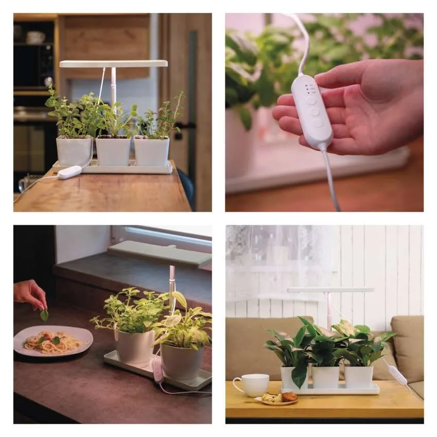 3127.jpg