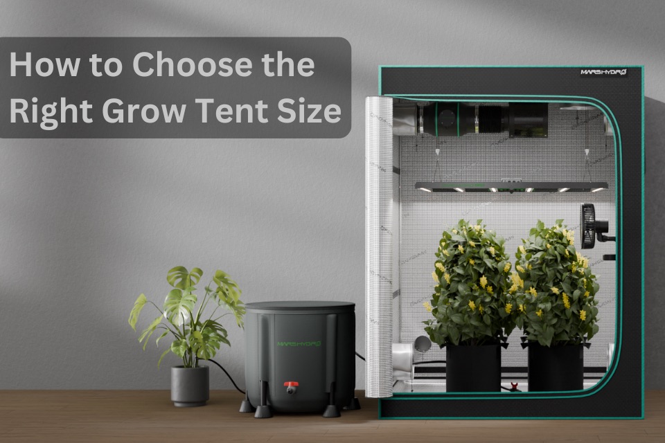 Vodnik za izbiro pravega growboxa